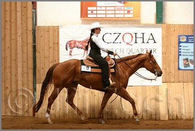 QH061_0452n.jpg (39,7 KB)