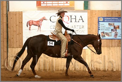 QH061_0456n.jpg (40,8 KB)