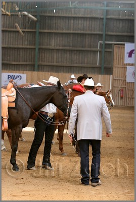 QH061_0459n.jpg (37,0 KB)