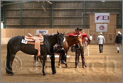 QH061_0460n.jpg (41,8 KB)