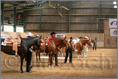 QH061_0462n.jpg (43,8 KB)