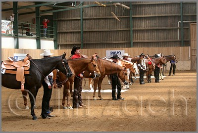QH061_0463n.jpg (43,8 KB)