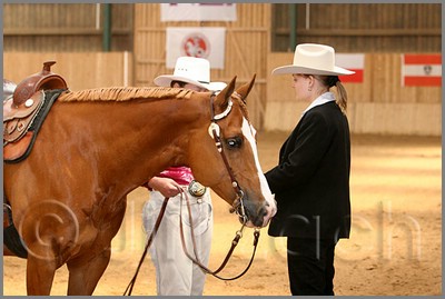 QH061_0474n.jpg (35,5 KB)