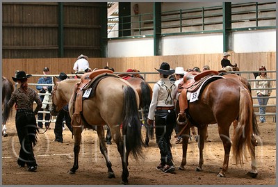 QH061_0477n.jpg (45,8 KB)