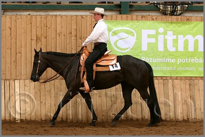 QH061_0478n.jpg (40,6 KB)