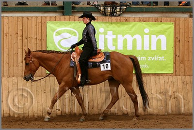 QH061_0479n.jpg (41,3 KB)