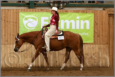 QH061_0480n.jpg (40,4 KB)