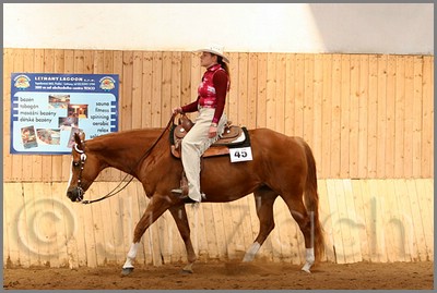 QH061_0484n.jpg (37,0 KB)