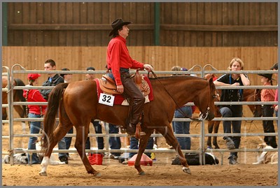 QH061_0486n.jpg (43,8 KB)