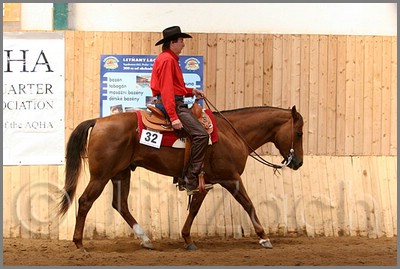 QH061_0488n.jpg (39,2 KB)