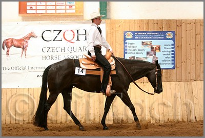QH061_0489n.jpg (41,8 KB)