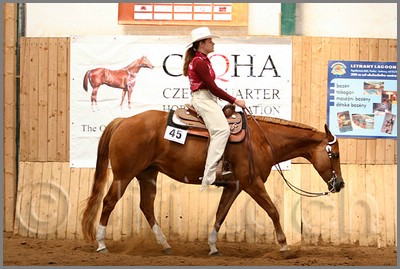 QH061_0490n.jpg (42,5 KB)