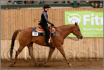 QH061_0493n.jpg (37,0 KB)