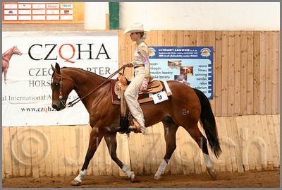 QH061_0513n.jpg (42,1 KB)