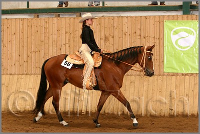 QH061_0517n.jpg (40,6 KB)