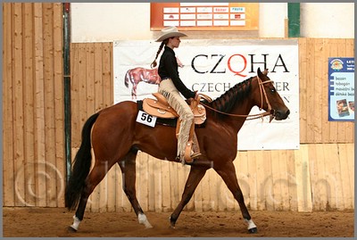 QH061_0519n.jpg (41,2 KB)