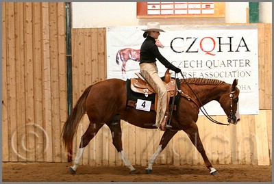QH061_0522n.jpg (41,4 KB)