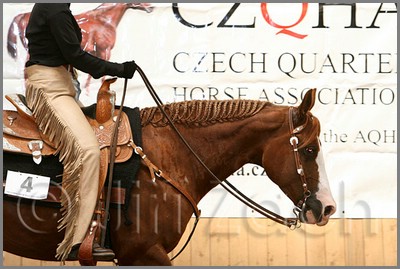 QH061_0526n.jpg (42,2 KB)