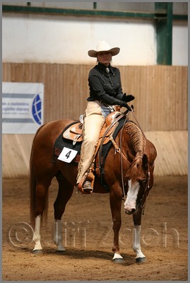 QH061_0534n.jpg (34,0 KB)