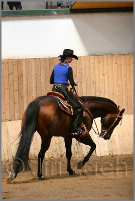 QH061_0547n.jpg (34,7 KB)
