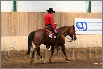 QH061_0558n.jpg (35,1 KB)