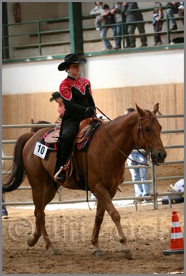 QH061_0565n.jpg (40,5 KB)