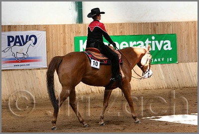 QH061_0567n.jpg (38,9 KB)