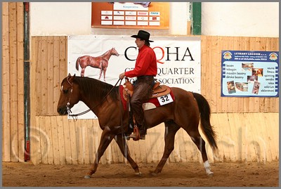 QH061_0568n.jpg (42,2 KB)