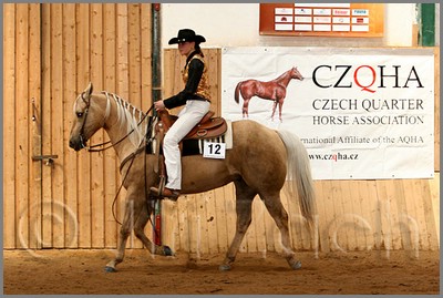 QH061_0570n.jpg (43,0 KB)