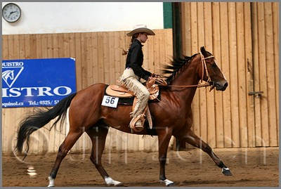 QH061_0582n.jpg (40,3 KB)