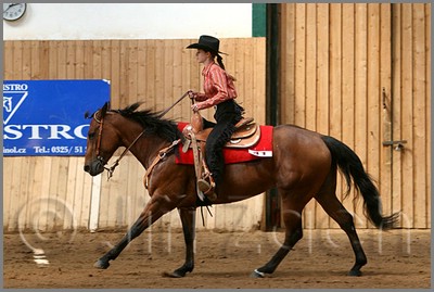 QH061_0584n.jpg (40,3 KB)