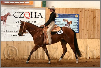 QH061_0588n.jpg (43,2 KB)