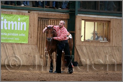 QH061_0614n.jpg (39,0 KB)