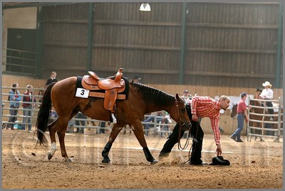 QH061_0615n.jpg (38,7 KB)