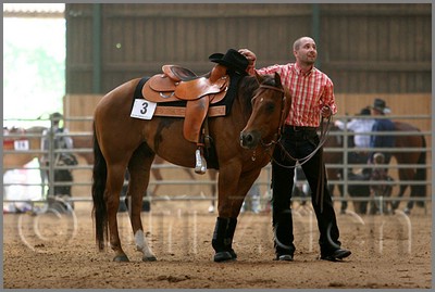 QH061_0616n.jpg (36,2 KB)
