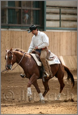 QH061_0637n.jpg (37,4 KB)