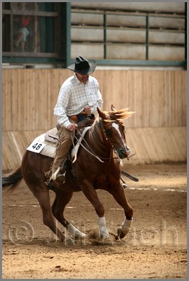 QH061_0639n.jpg (36,7 KB)