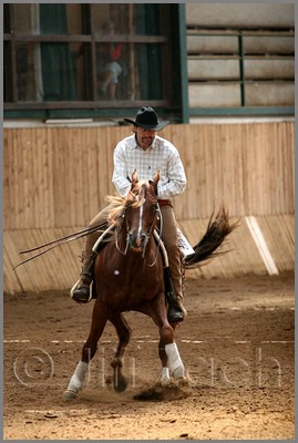 QH061_0641n.jpg (37,2 KB)
