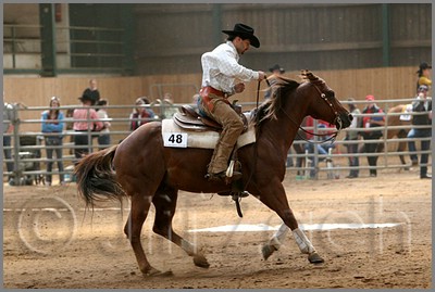 QH061_0645n.jpg (39,4 KB)