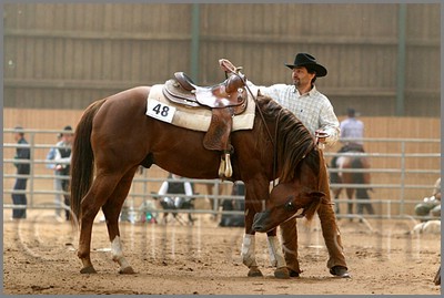 QH061_0654n.jpg (36,0 KB)