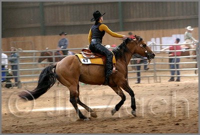 QH061_0664n.jpg (36,2 KB)
