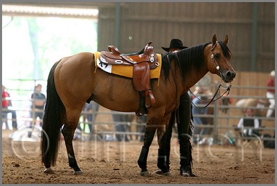 QH061_0670n.jpg (34,5 KB)