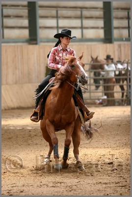 QH061_0676n.jpg (37,7 KB)