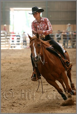 QH061_0678n.jpg (36,5 KB)