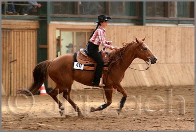 QH061_0681n.jpg (36,6 KB)