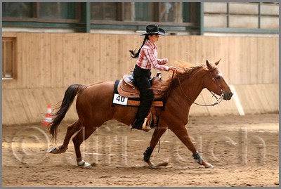 QH061_0682n.jpg (36,0 KB)