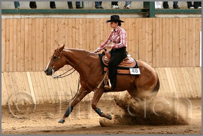 QH061_0686n.jpg (41,0 KB)