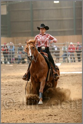QH061_0687n.jpg (36,3 KB)