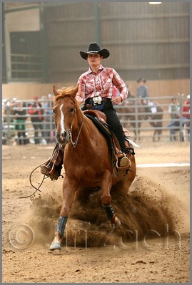 QH061_0688n.jpg (36,8 KB)