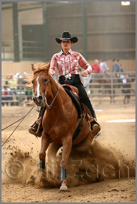 QH061_0689n.jpg (36,9 KB)